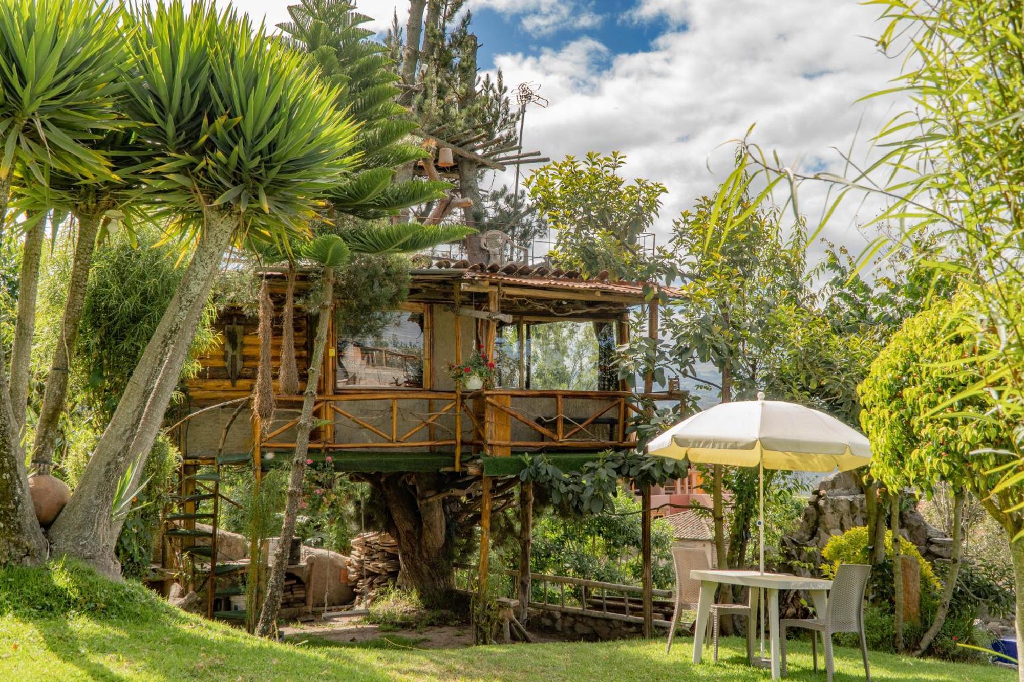 Campo Y Glamping