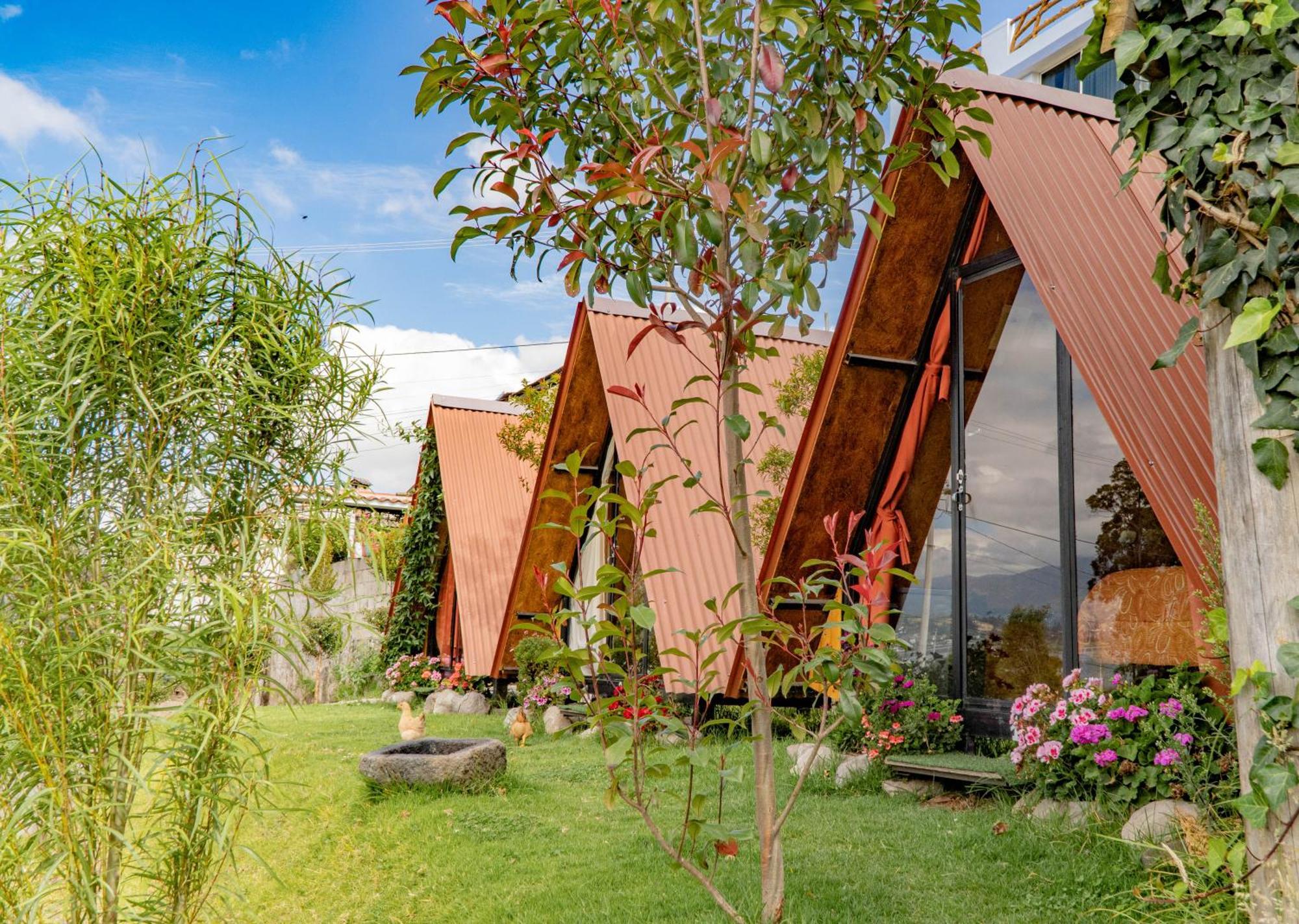 Campsite Campo Y Glamping *